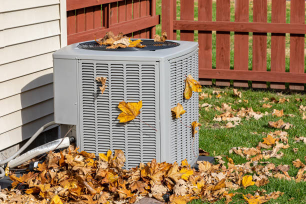Best Local HVAC Companies  in Elleale, ND